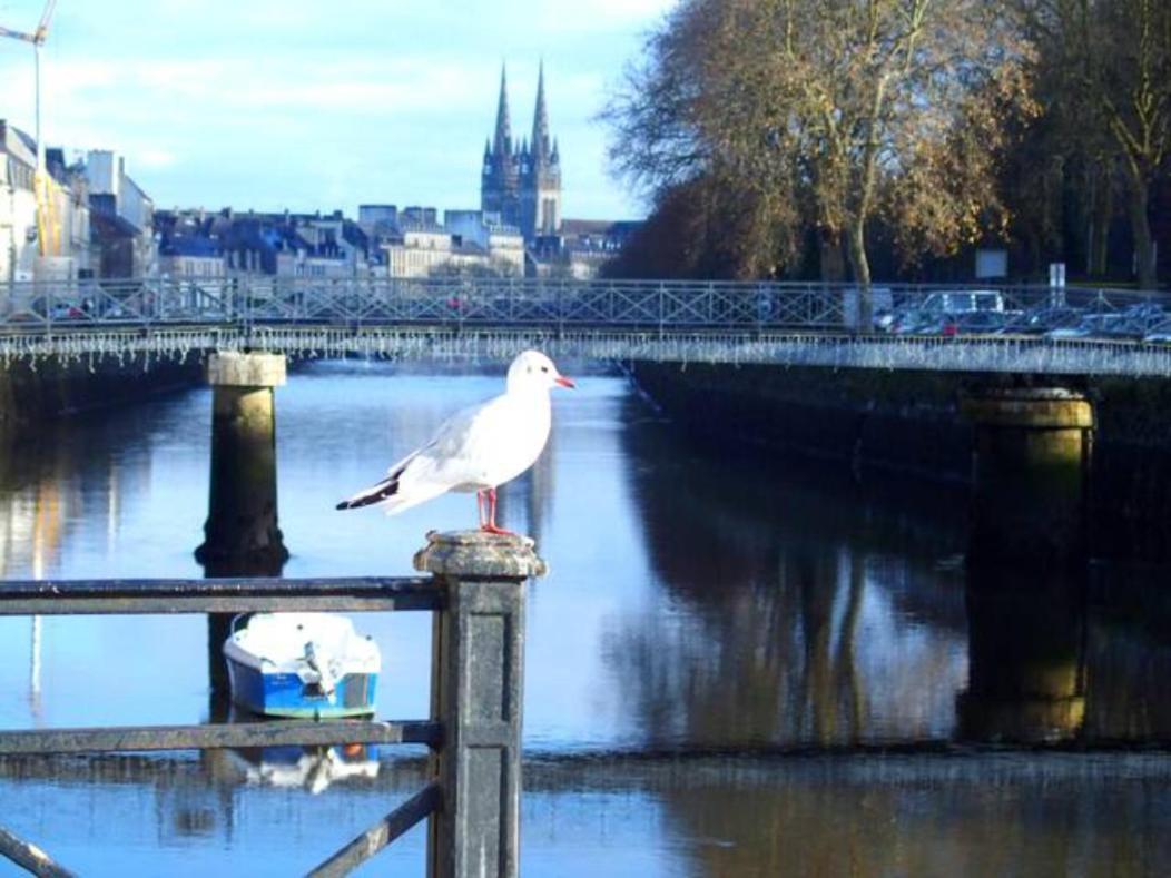 Sweet Home En Plein Coeur De Quimper Exteriér fotografie